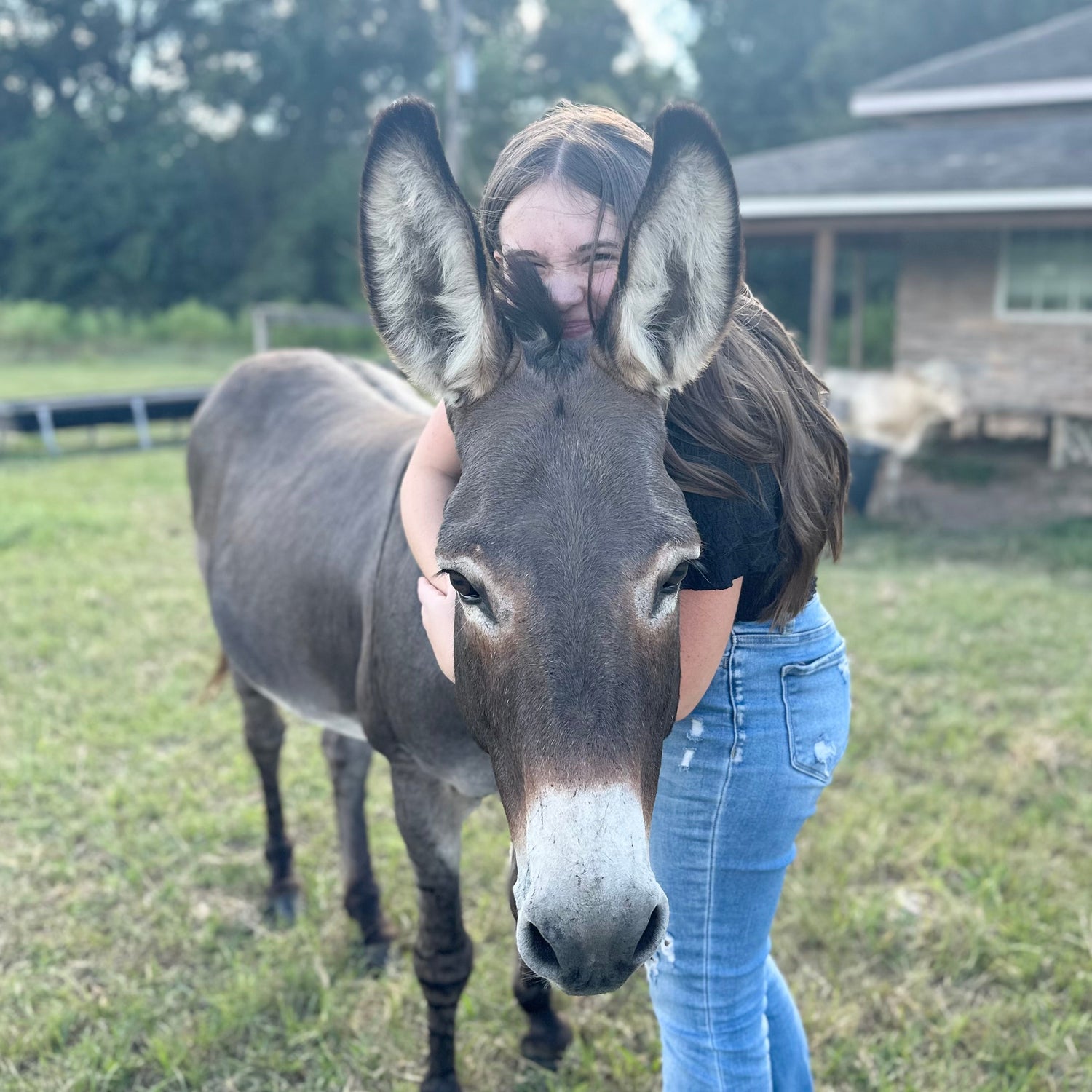 Stress Awareness Month