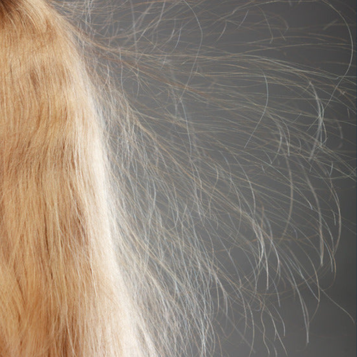 5 Pro Stylist Tips for Fighting Hair Static