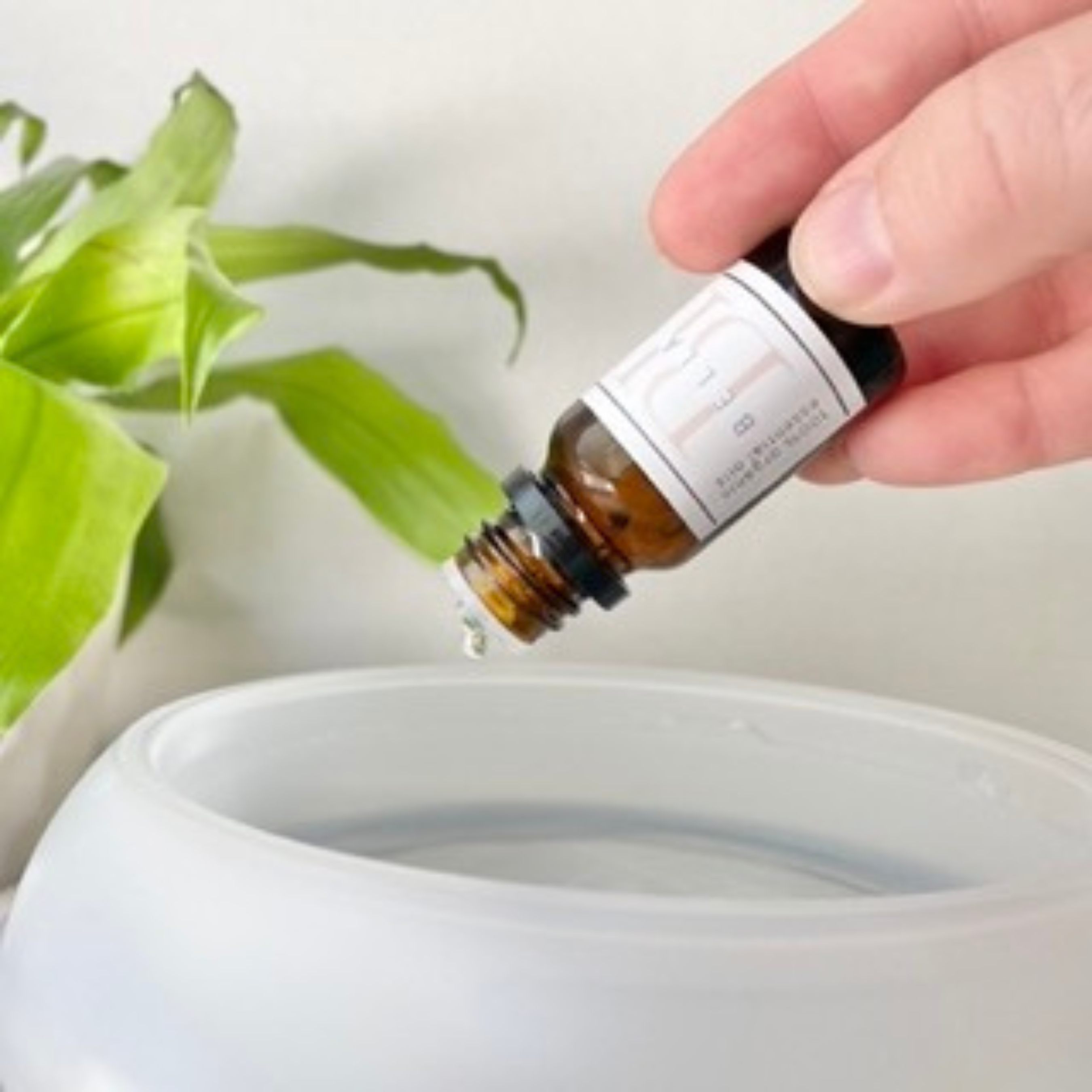 Aromatherapy